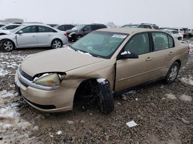 CHEVROLET MALIBU LS 2005 with VIN 1G1ZT54845F233436 - Photo from auction