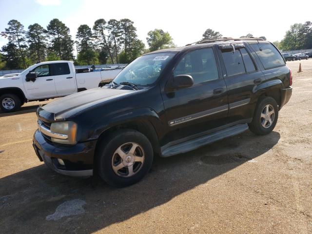 CHEVROLET TRAILBLAZE 2002 with VIN 1GNDS13S522325837 - Photo from auction