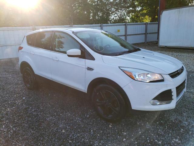 Photo 4 from auction – 2014 FORD ESCAPE SE with VIN 1FMCU9GX6EUC86201