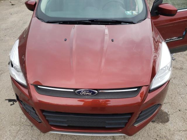 Photo 12 from auction – 2014 FORD ESCAPE SE with VIN 1FMCU0G9XEUD42802