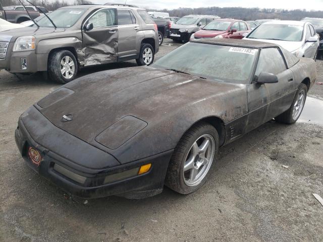CHEVROLET CORVETTE 1995 with VIN 1G1YY22P6S5116514 - Photo from auction