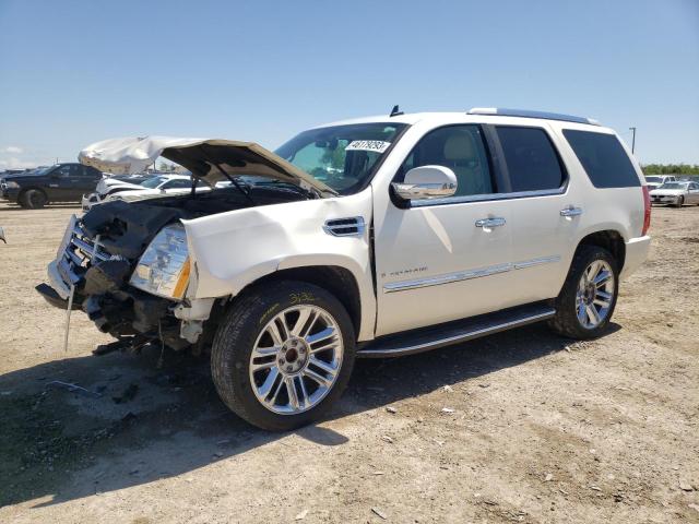 CADILLAC ESCALADE L 2008 with VIN 1GYEC63868R148527 - Photo from auction