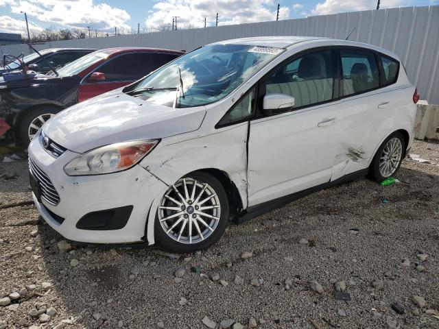 FORD C-MAX SE 2014 with VIN 1FADP5AU4EL502100 - Photo from auction