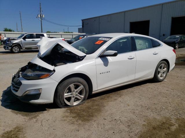 CHEVROLET MALIBU LS 2019 with VIN 1G1ZC5ST3KF199153 - Photo from auction