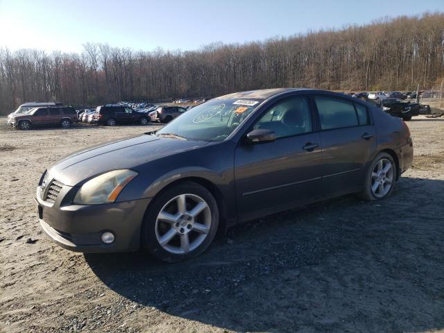 NISSAN MAXIMA SE 2004 with VIN 1N4BA41E54C913824 - Photo from auction