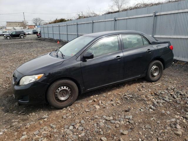 TOYOTA COROLLA 2010 with VIN 2T1BU4EEXAC317509 - Photo from auction