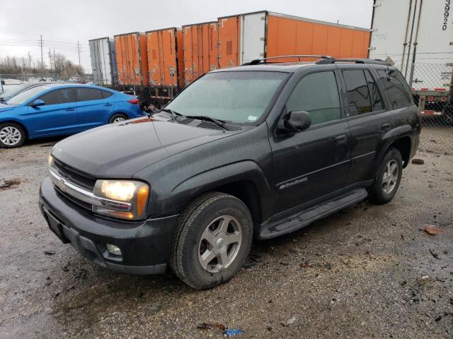 CHEVROLET TRAILBLAZE 2003 with VIN 1GNDT13S432353630 - Photo from auction