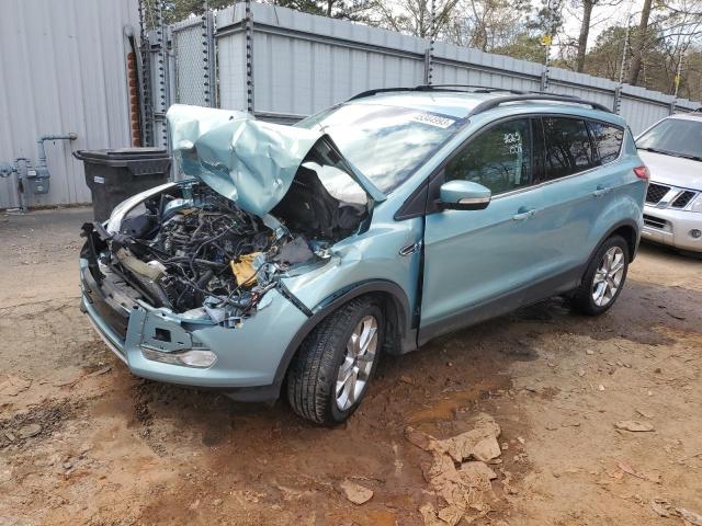 FORD ESCAPE SEL 2013 with VIN 1FMCU0HX6DUC01558 - Photo from auction