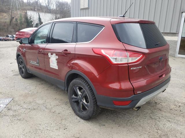 Photo 2 from auction – 2014 FORD ESCAPE SE with VIN 1FMCU0G9XEUD42802