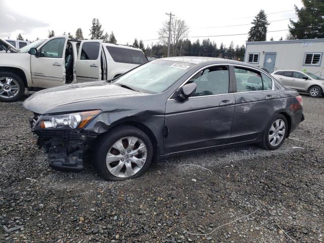 HONDA ACCORD EXL 2010 with VIN 1HGCP2F84AA146738 - Photo from auction