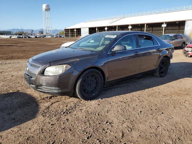 CHEVROLET MALIBU LS 2010 with VIN 1G1ZA5EB7AF278512 - Photo from auction