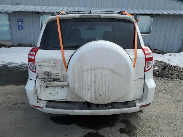 Photo 6 from auction – 2010 TOYOTA RAV4 with VIN 2T3BF4DV5AW071244