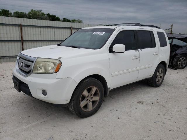 HONDA PILOT EXL 2009 with VIN 5FNYF38649B009584 - Photo from auction