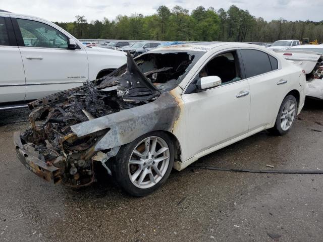 NISSAN MAXIMA S 2010 with VIN 1N4AA5AP0AC835158 - Photo from auction