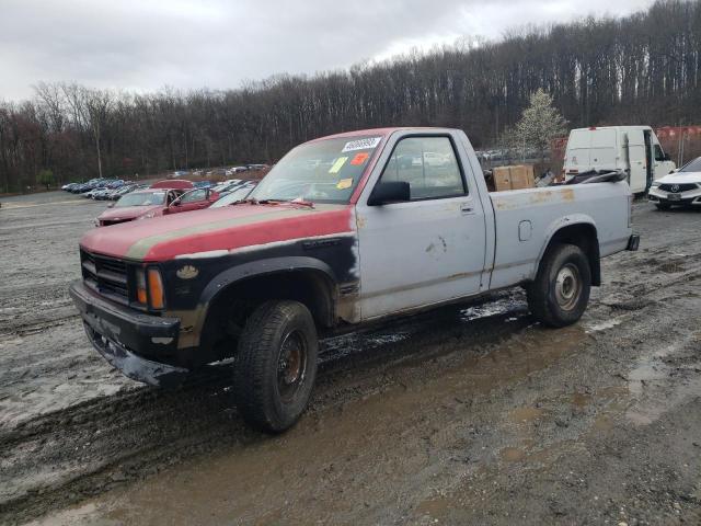 DODGE DAKOTA 1988 with VIN 1B7GR14X5JS603002 - Photo from auction