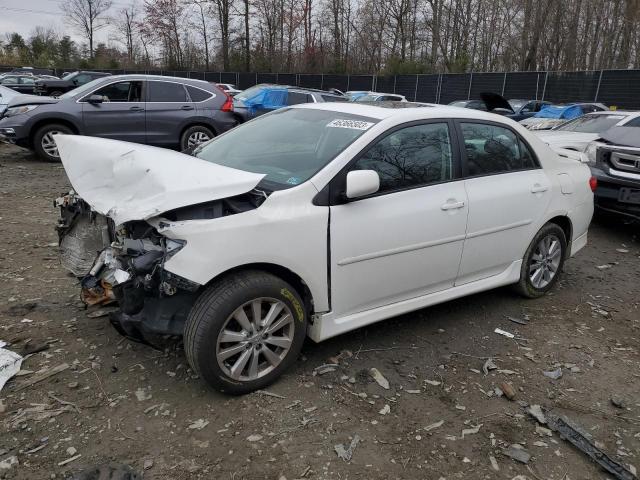 TOYOTA COROLLA BA 2010 with VIN 2T1BU4EE1AC424920 - Photo from auction