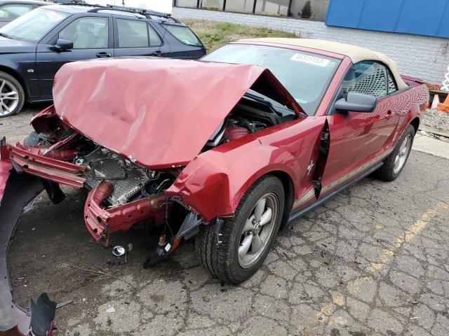 FORD MUSTANG 2007 with VIN 1ZVHT84N175333879 - Photo from auction