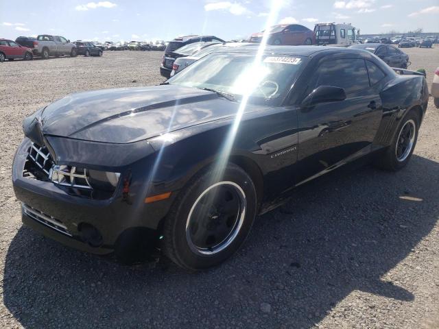 CHEVROLET CAMARO LS 2010 with VIN 2G1FE1EV8A9206575 - Photo from auction