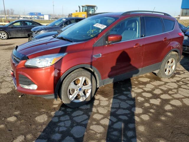 FORD ESCAPE SE 2014 with VIN 1FMCU0GX1EUA83700 - Photo from auction