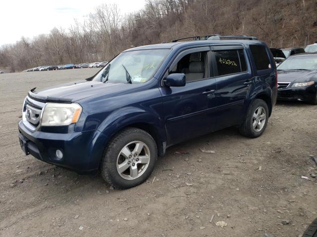 HONDA PILOT EXL 2009 with VIN 5FNYF48599B031058 - Photo from auction