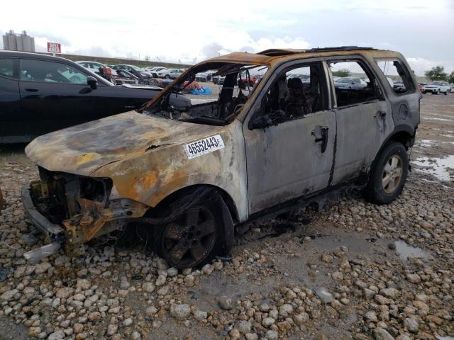 FORD ESCAPE XLT 2010 with VIN 1FMCU0DG5AKD04984 - Photo from auction