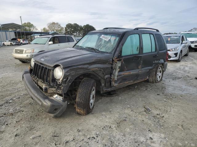 JEEP LIBERTY SP 2006 with VIN 1J4GL48K16W272981 - Photo from auction