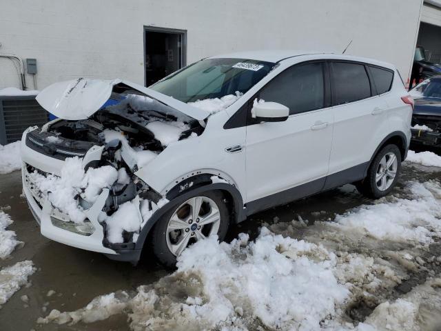 Photo 1 from auction – 2014 FORD ESCAPE SE with VIN 1FMCU0GX7EUA23470