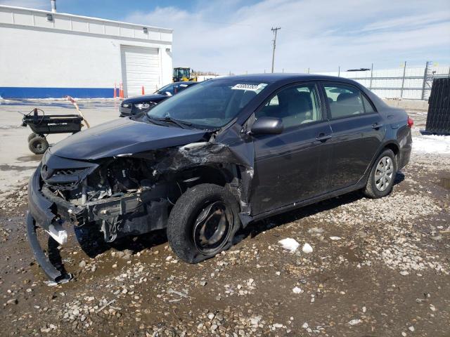 TOYOTA COROLLA BA 2011 with VIN JTDBU4EE8BJ093775 - Photo from auction