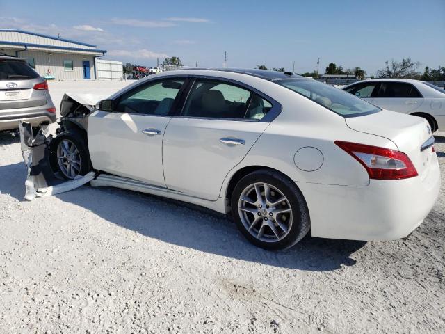 Photo 2 from auction – 2009 NISSAN MAXIMA S with VIN 1N4AA51E39C811494