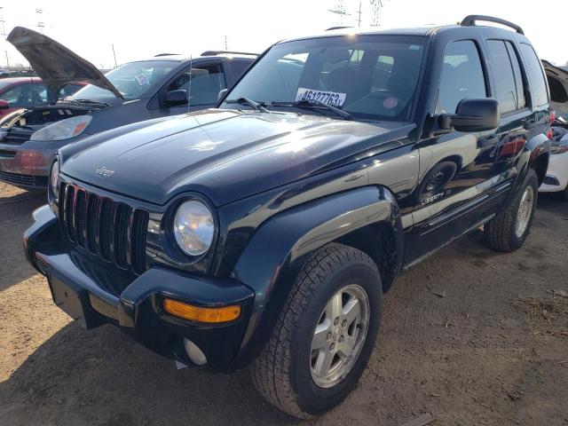 JEEP LIBERTY LI 2003 with VIN 1J4GL58K73W531202 - Photo from auction