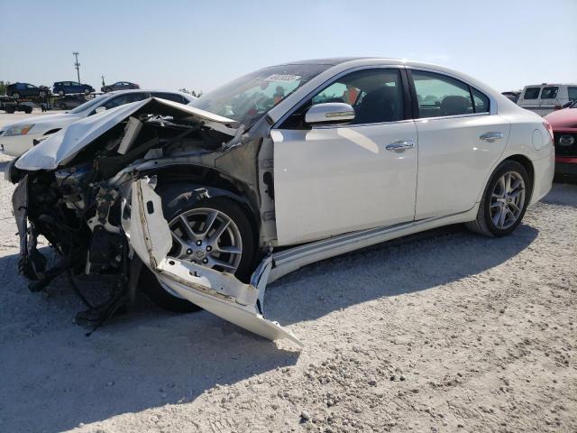 NISSAN MAXIMA S 2009 with VIN 1N4AA51E39C811494 - Photo from auction