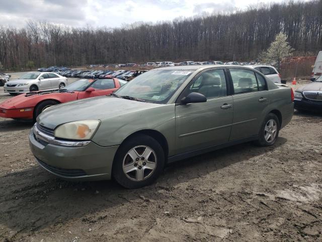 CHEVROLET MALIBU LS 2005 with VIN 1G1ZT54845F156079 - Photo from auction