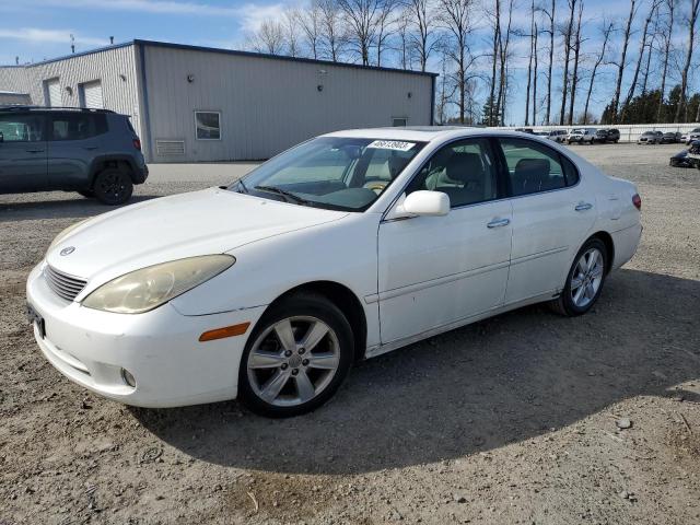 LEXUS ES 330 2006 with VIN JTHBA30G065172446 - Photo from auction