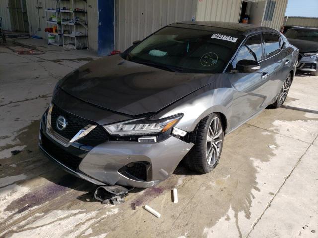 NISSAN MAXIMA SL 2020 with VIN 1N4AA6DV7LC362247 - Photo from auction