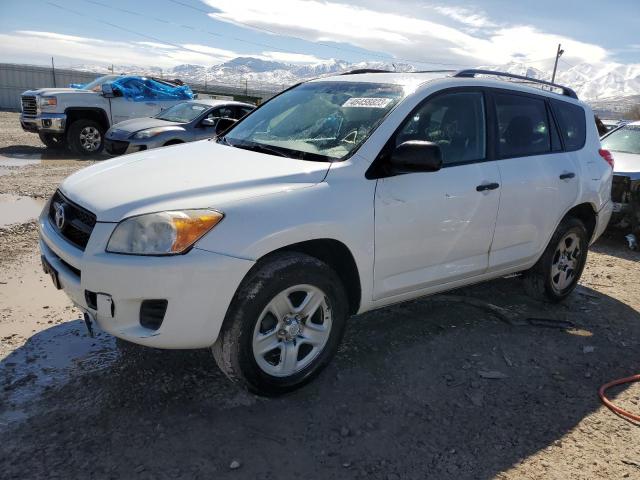 TOYOTA RAV4 2012 with VIN 2T3BF4DVXCW195187 - Photo from auction