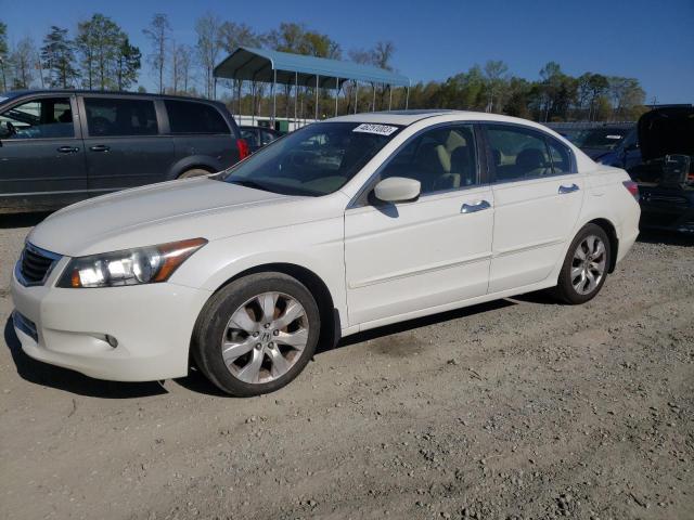 HONDA ACCORD EXL 2010 with VIN 5KBCP3F80AB013469 - Photo from auction