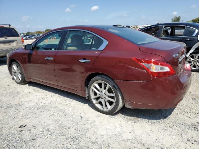 Photo 2 from auction – 2010 NISSAN MAXIMA S with VIN 1N4AA5AP8AC859126