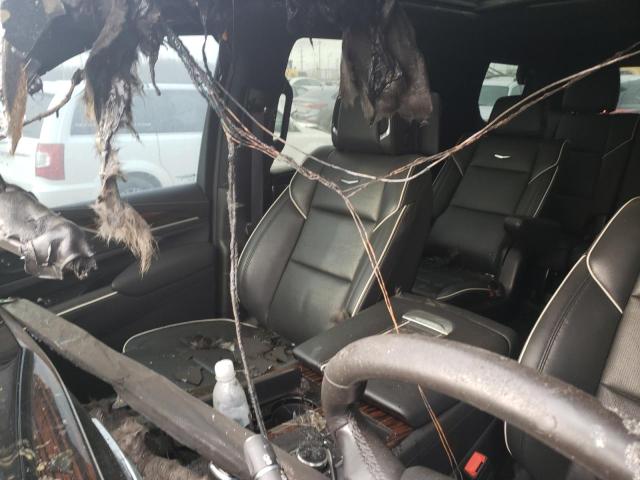 Photo 7 from auction – 2021 CADILLAC ESCALADE P with VIN 1GYS4BKL2MR221000