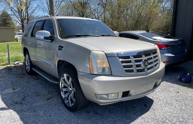 CADILLAC ESCALADE L 2007 with VIN 1GYFK63827R251160 - Photo from auction