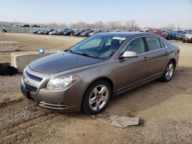 CHEVROLET MALIBU 1LT 2010 with VIN 1G1ZC5EB7AF249585 - Photo from auction