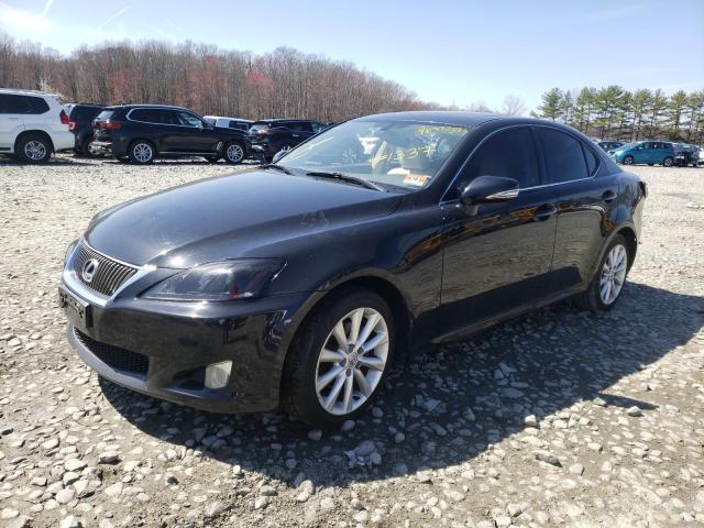 LEXUS IS 250 2009 with VIN JTHCK262995031337 - Photo from auction