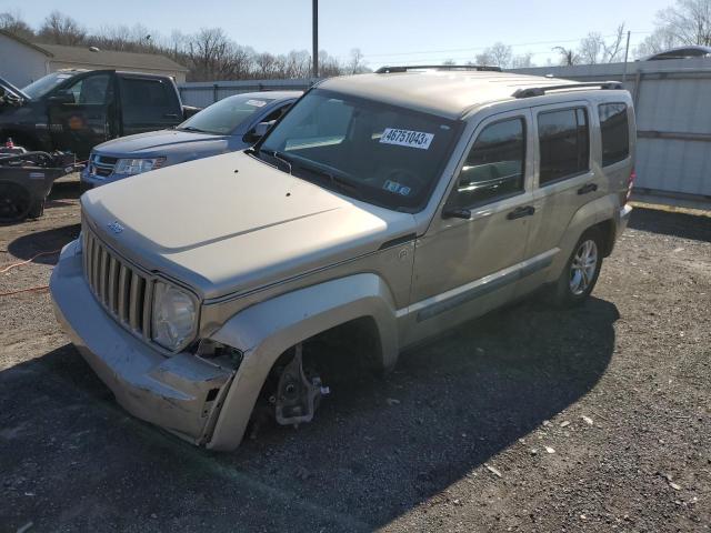 JEEP LIBERTY SP 2010 with VIN 1J4PN2GK9AW166299 - Photo from auction