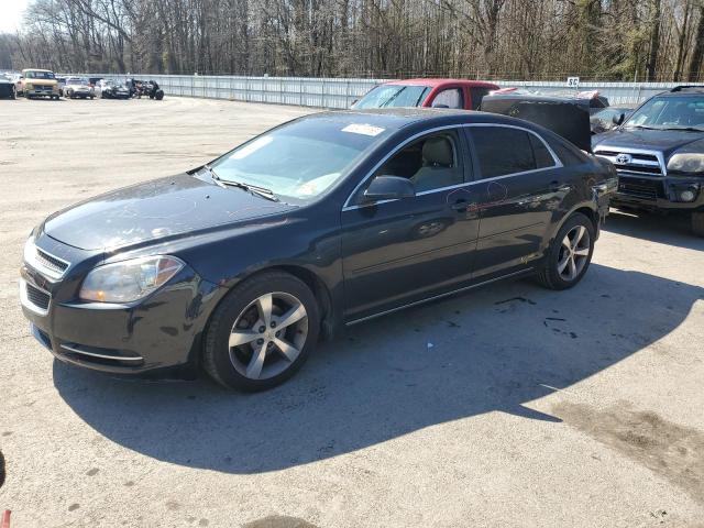 CHEVROLET MALIBU 1LT 2011 with VIN 1G1ZC5E19BF215267 - Photo from auction