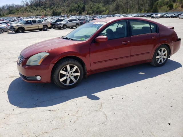 NISSAN MAXIMA SE 2006 with VIN 1N4BA41E36C826961 - Photo from auction