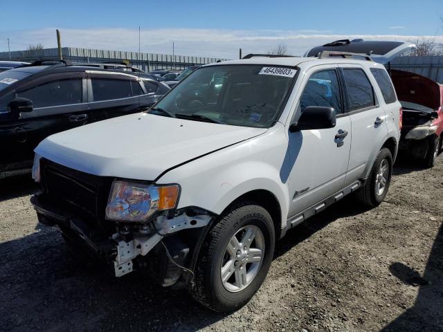 Photo 1 from auction – 2010 FORD ESCAPE HYB with VIN 1FMCU5K39AKC05680