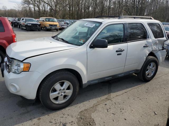 FORD ESCAPE XLT 2009 with VIN 1FMCU03729KC97358 - Photo from auction