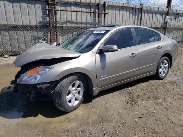 Photo 1 from auction – 2008 NISSAN ALTIMA HYB with VIN 1N4CL21E78C172214