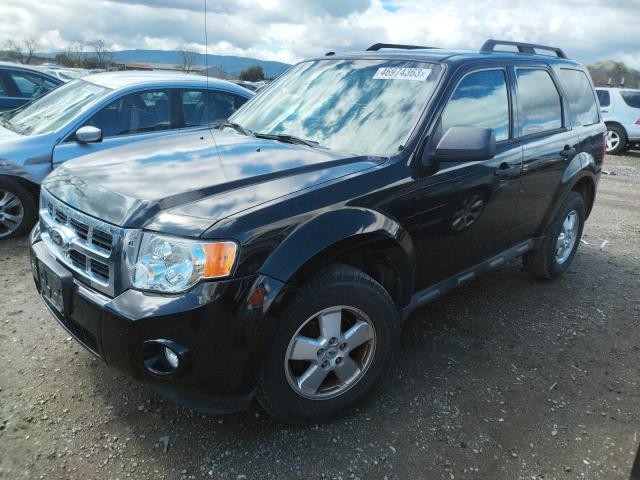 FORD ESCAPE XLT 2011 with VIN 1FMCU0DGXBKA14872 - Photo from auction