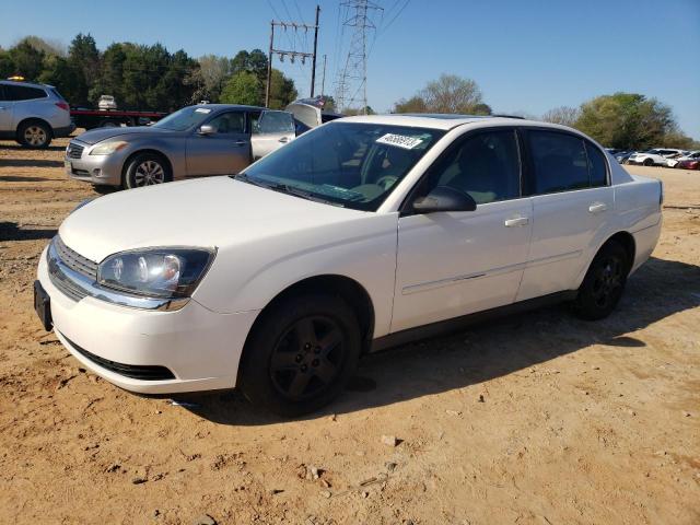 CHEVROLET MALIBU LS 2005 with VIN 1G1ZT54885F153489 - Photo from auction