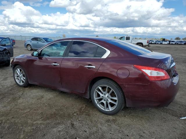Photo 2 from auction – 2009 NISSAN MAXIMA S with VIN 1N4AA51E39C822172